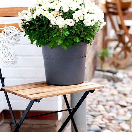 Trautes Heim Ferienwohnung Ost Maasholm Exteriér fotografie